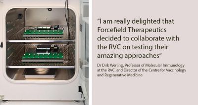 RVC collaboration could develop new heart disease treatments